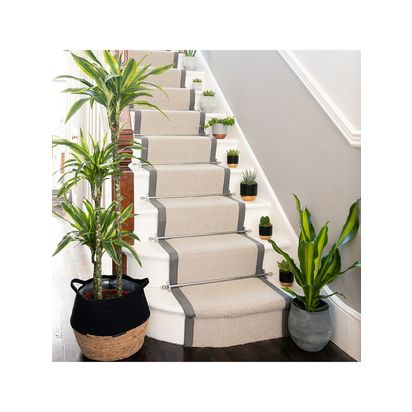 The Little Botanical Dracaena Big Grey Pot Multi Multi