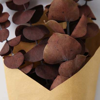 Dried Eucalyptus Bundle Purple