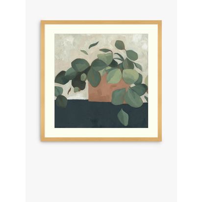 John Lewis Emma Scarvey 'Jade Hoya II' Framed Print & Mount, 73.5 x 73.5cm, Green/Multi Green/Multi | H73.5 x W73.5 x D2.8cm