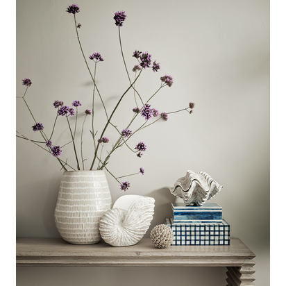 Doria Decorative Shell Ornament - Chalk