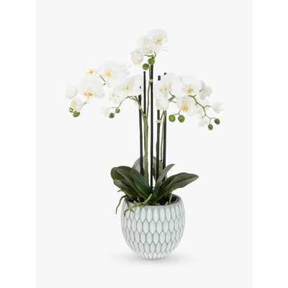 Floralsilk Artificial White Orchid in Geometric Pot Multi | H62 x W40 x D40cm