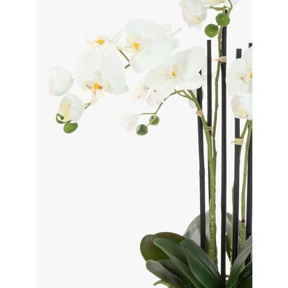 Floralsilk Artificial White Orchid in Geometric Pot Multi | H62 x W40 x D40cm