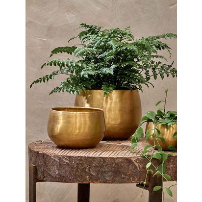 Nkuku Atsu Brass Planter Brass | Small: H10.5 x Dia.15cm. Medium: H14 x Dia.21cm. Large: H20 x Dia.27cm
