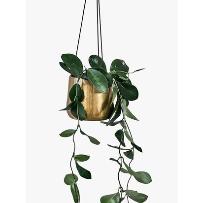 Nkuku Atsu Hanging Brass Planter Antique Brass | H9cm x Dia.11cm