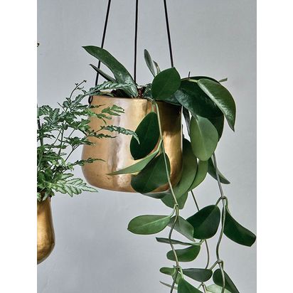 Nkuku Atsu Hanging Brass Planter Antique Brass | Large: H12.5 x Dia.14cm. Small: H9cm x Dia.11cm