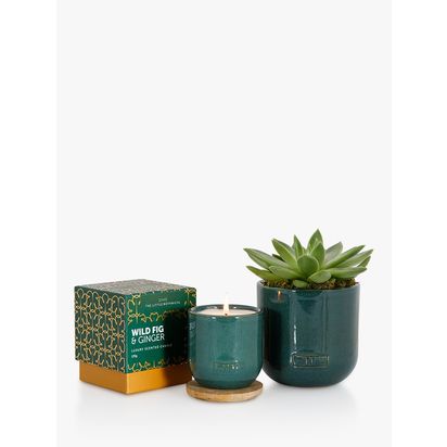 The Little Botanical Forever Green Candle Gift Set Green | H13 x W34 x D25cm