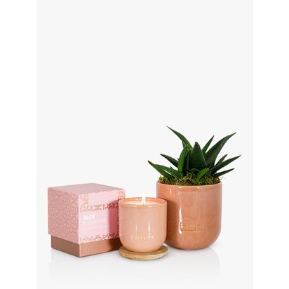 The Little Botanical Pink Cashmere Candle Gift Set Pink | H13 x W34 x D25cm