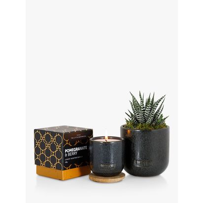 The Little Botanical Back to Black Candle Gift Set Black | H13 x W34 x D25cm