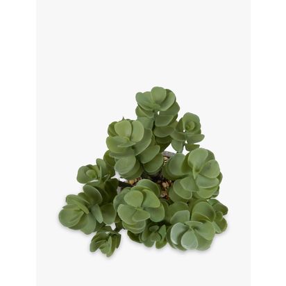 John Lewis Artificial Succulent in Cement Planter