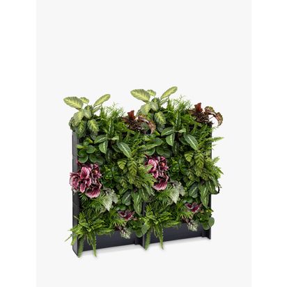 The Little Botanical 40 Indoor House Plants Living Wall Multi | H100 x W120 x D15cm