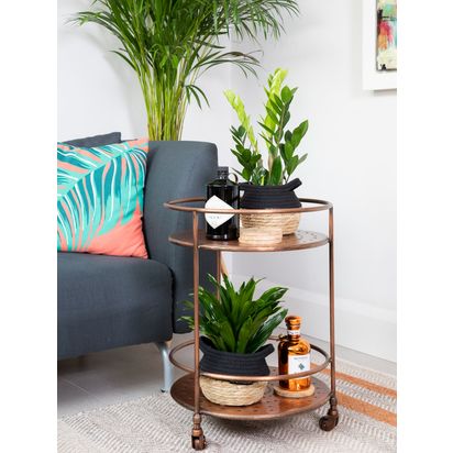 The Little Botanical Easy Care Plant Basket Multi | H40 x W40 x D40cm