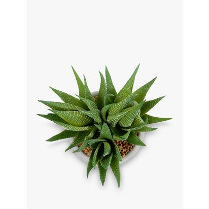 John Lewis Artificial Aloe Vera in Cement Planter | H15 x W15 x D15cm