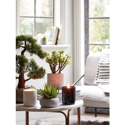 John Lewis Artificial Aloe Vera in Cement Planter | H15 x W15 x D15cm