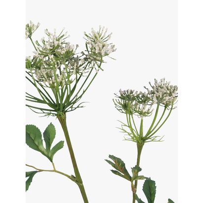 Floralsilk Artificial Bishops Flower Multi | H75 x W15 x D12cm