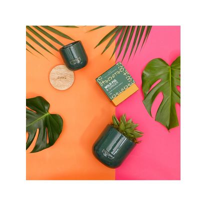 The Little Botanical Forever Green Candle Gift Set Green | H13 x W34 x D25cm