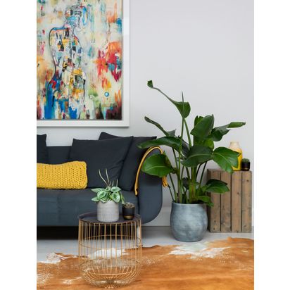 The Little Botanical Extra Large Strelitzia Ceramic Pot Plant Multi | H110-120 x W40 x D40 cm