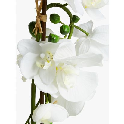 John Lewis Artificial Large White Orchid White | H56 x W15 x D23cm