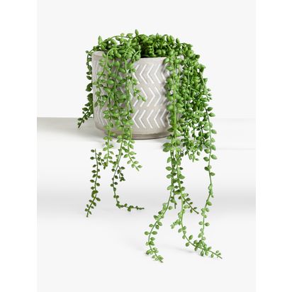 John Lewis Artificial Nickels in Grey Pot Multi | H17.8 x W33 x D17.8cm
