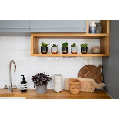 The Little Botanical Plant Shelfie Set Multi | H25 x W35cm