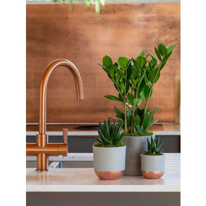 The Little Botanical Beginners Plant Gang Multi