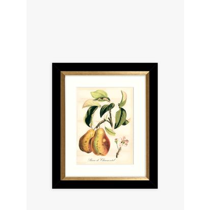 John Lewis 'Tuscan Fruit' Framed Prints & Mounts, Set of 4, 36.5 x 30.5cm, Orange/Multi Orange/Multi | H36.5 x W30.5 x D3cm
