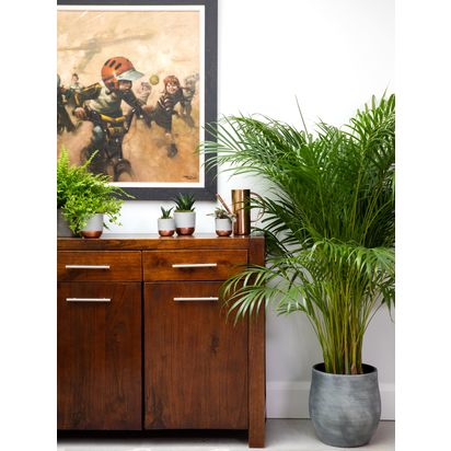The Little Botanical XL Areca Palm Ceramic Pot Plant Multi | H110-130 x W40 x D40 cm
