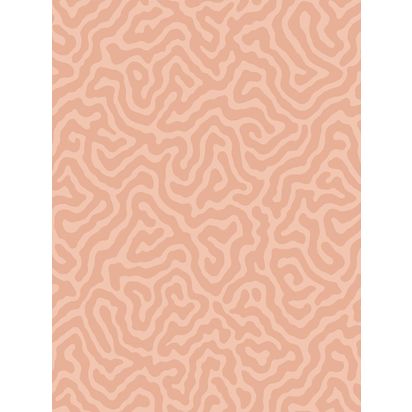 Cole & Son Coral Wallpaper Salmon 106/5075 | L10m x W52cm