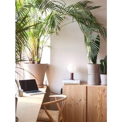 Tala Knuckle Table Lamp with Sphere IV 8W ES LED Dim to Warm Globe Bulb Walnut | H28 x Dia.15cm
