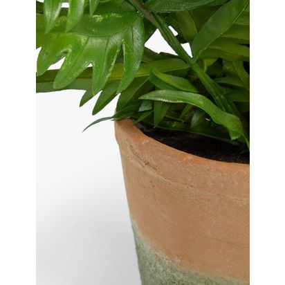 John Lewis Artificial Fern Bush in Terracotta Pot Multi Multi | H50.8 x W35.6 x D50.8cm