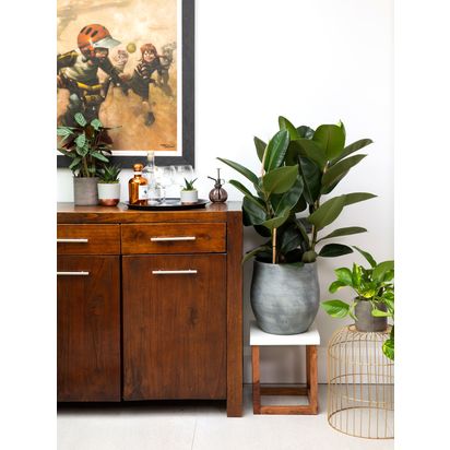 The Little Botanical Extra Large Rubber Ceramic Pot Plant Multi | H80-100 x W40 x D40 cm
