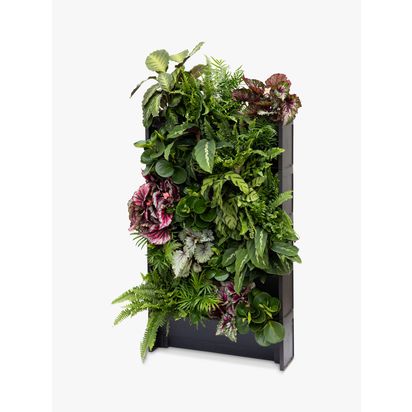 The Little Botanical 20 Indoor House Plants Living Wall Multi | H100 x W60 x D15cm