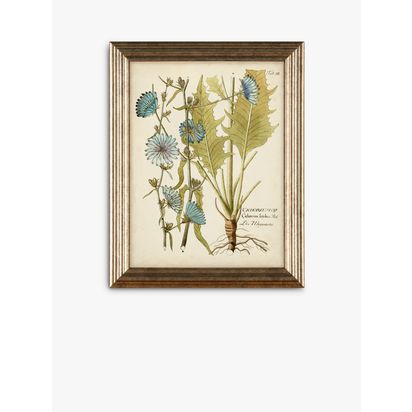 Botanical Florals Framed Prints, Set of 3, 47 x 37cm, Green/Multi Green/Multi | H47 x W37 x D2cm