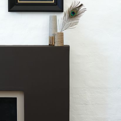 The Little Greene Paint Company Absolute Matt Emulsion Blacks & Browns Tester Pot Chocolate (124) | 60ml