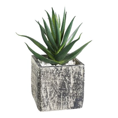 Artificial Aloe Vera