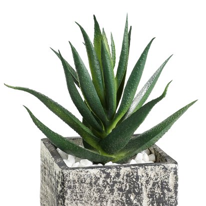 Open uri20230327 5266 m9b6o9?1679891493