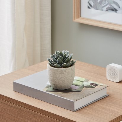 Open uri20230327 5266 12lianu?1679891503