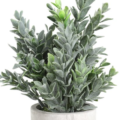 Open uri20230327 5266 1veiex4?1679891576