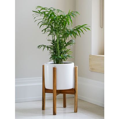 Ivyline Anzio Indoor Ceramic Planter & Wood Stand, 24cm White | H38.5 x Dia.24cm