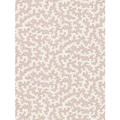 Sanderson Truffle Wallpaper DABW217240 | L10m x W52cm