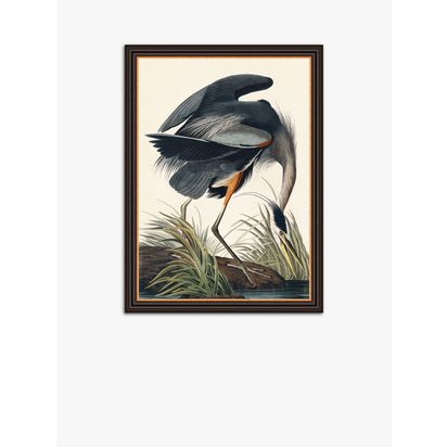John Lewis John James Audubon Blue Heron Framed Print, 77 x 57cm, Grey/Multi Grey/Multi | H77 x W57 x D3cm