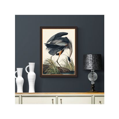 John Lewis John James Audubon Blue Heron Framed Print, 77 x 57cm, Grey/Multi Grey/Multi | H77 x W57 x D3cm