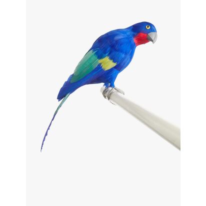 John Lewis 30cm Parrot Decoration, Blue Blue | H30cm