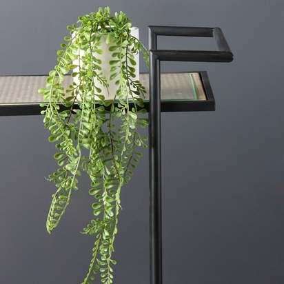 Artificial Set of 3 Trailing Plants in White Ceramic Plant Pots