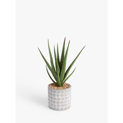 John Lewis Artificial Large Aloe Plant & Concrete Pot Multi | H40.5 x Dia.35cm