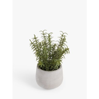 John Lewis Artificial Rosemary Plant & Concrete Pot Grey/Green | H21.6 x Dia.15.2cm