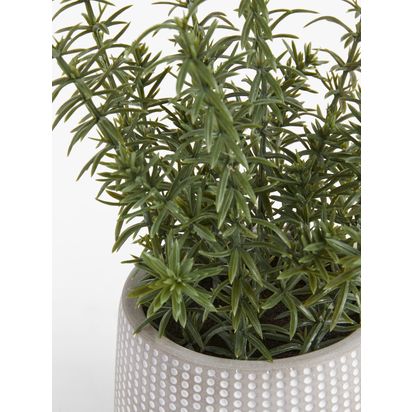John Lewis Artificial Rosemary Plant & Concrete Pot Grey/Green | H21.6 x Dia.15.2cm