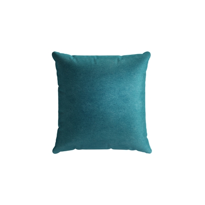 55x55cm Scatter Cushion in Neptune Smart Velvet