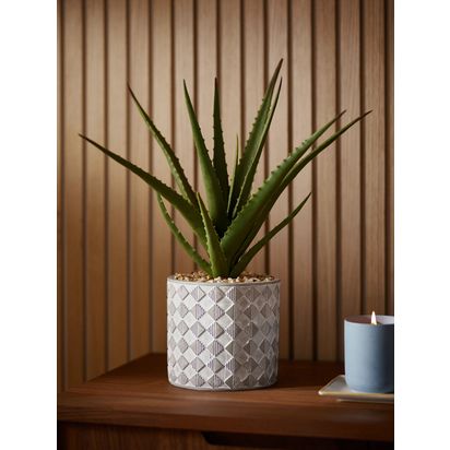 John Lewis Artificial Large Aloe Plant & Concrete Pot Multi | H40.5 x Dia.35cm