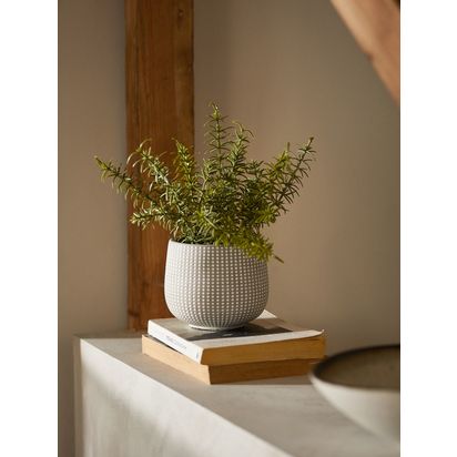 John Lewis Artificial Rosemary Plant & Concrete Pot Grey/Green | H21.6 x Dia.15.2cm