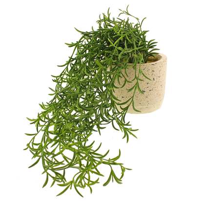 Artificial Trailing Plant in White Plant Pot